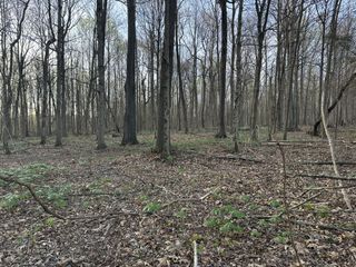 152 Fleming Rd, Portland, TN 37148