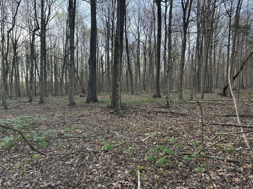 152 Fleming Rd, Portland, TN 37148