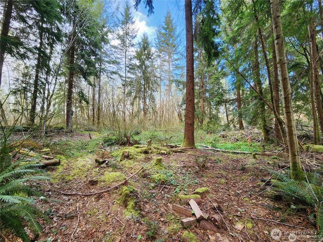 347 xx NE 82nd Place, Carnation, WA 98014