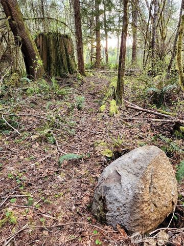 347 xx NE 82nd Place, Carnation, WA 98014