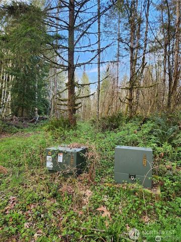 347 xx NE 82nd Place, Carnation, WA 98014