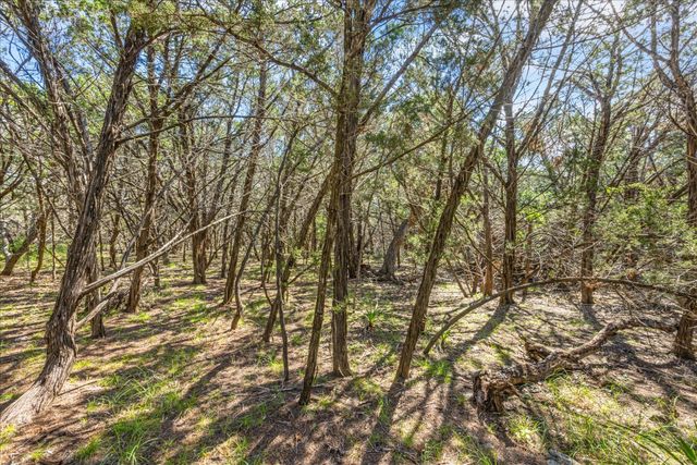 2453 S Rainbow Ranch RD S, Wimberley, TX 78676