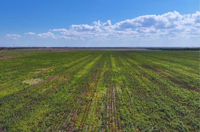 TBD County Rd 2367, Odem, TX 78370