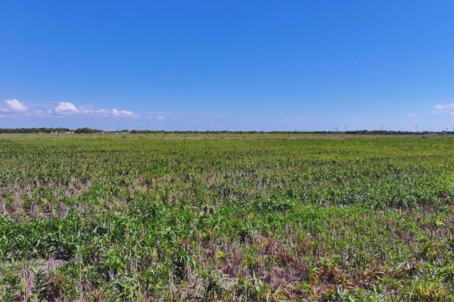 TBD County Rd 2367, Odem, TX 78370