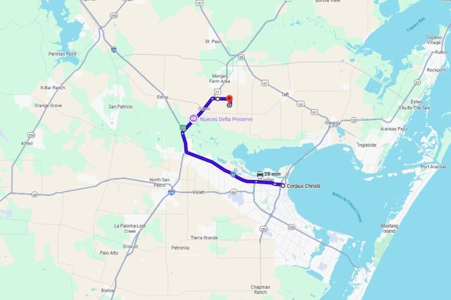 TBD County Rd 2367, Odem, TX 78370