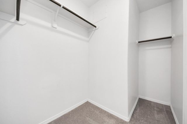 24719 Colony Meadow Trail, Houston, TX 77336