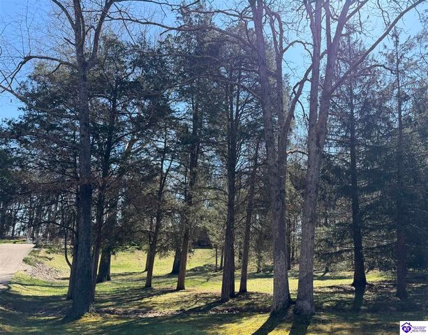 320 Forest Trace, Radcliff, KY 40160