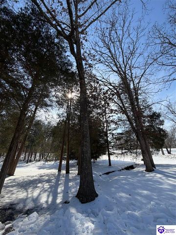 320 Forest Trace, Radcliff, KY 40160