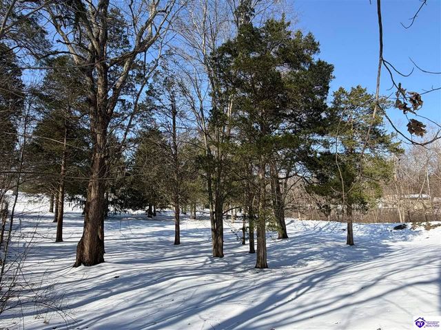 320 Forest Trace, Radcliff, KY 40160