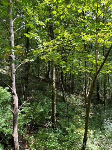 99999 Trillium End Lane 40, Waynesville, NC 28786