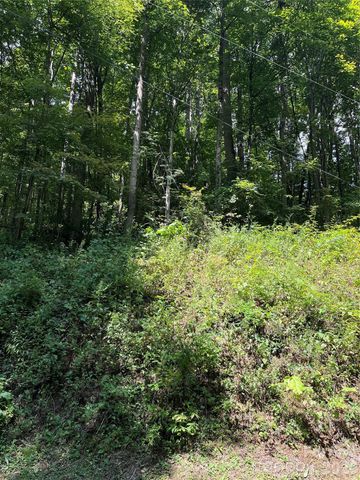 99999 Trillium End Lane 40, Waynesville, NC 28786