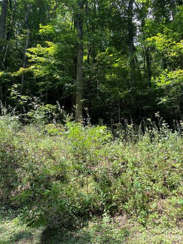 99999 Trillium End Lane 40, Waynesville, NC 28786