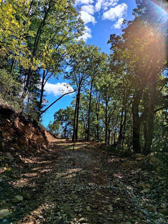 0 Mount Horeb Road, Amherst, VA 24521