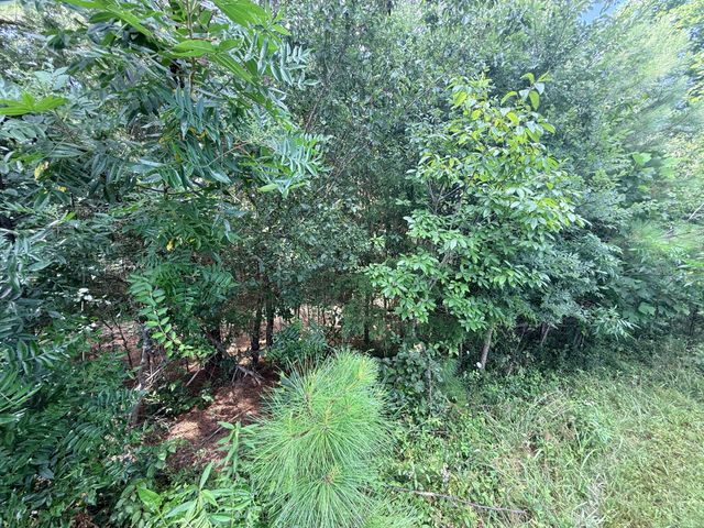0 Ghea, Manchester, TN 37355
