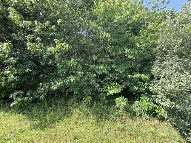 0 Ghea, Manchester, TN 37355