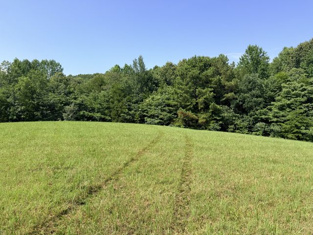 0 Ghea, Manchester, TN 37355