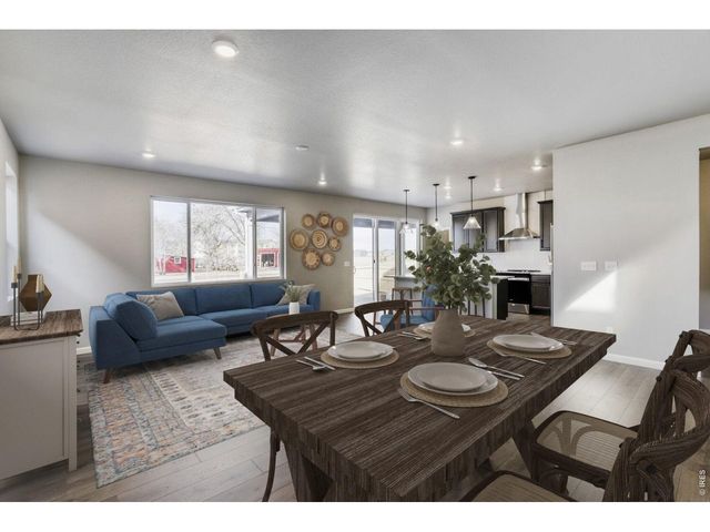 662 Noola St, Windsor, CO 80550