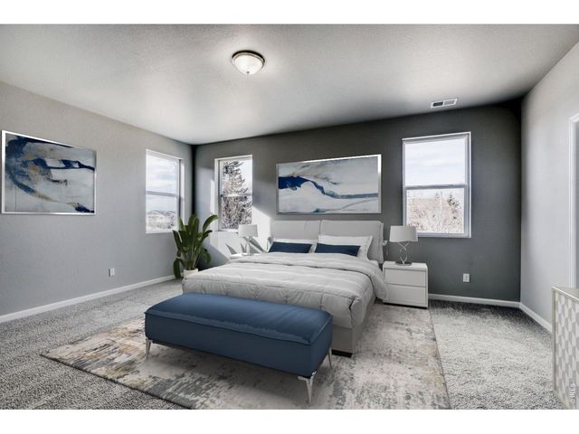 662 Noola St, Windsor, CO 80550
