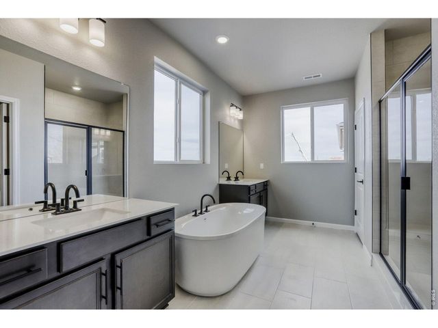 662 Noola St, Windsor, CO 80550