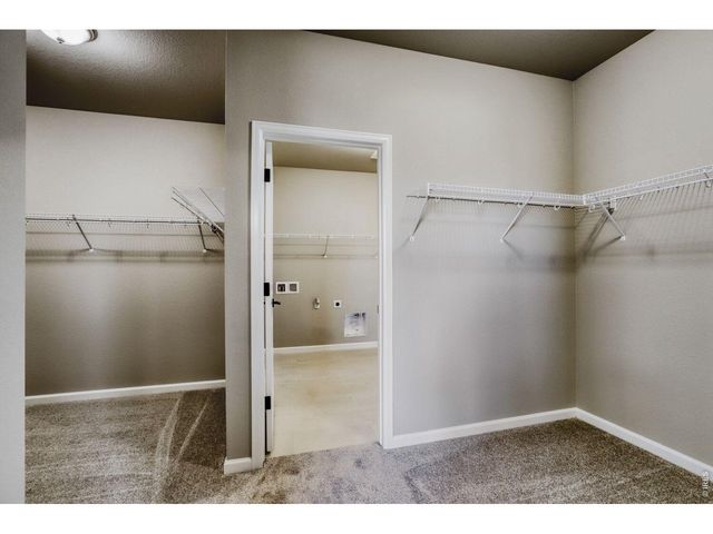 662 Noola St, Windsor, CO 80550