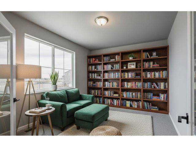 662 Noola St, Windsor, CO 80550