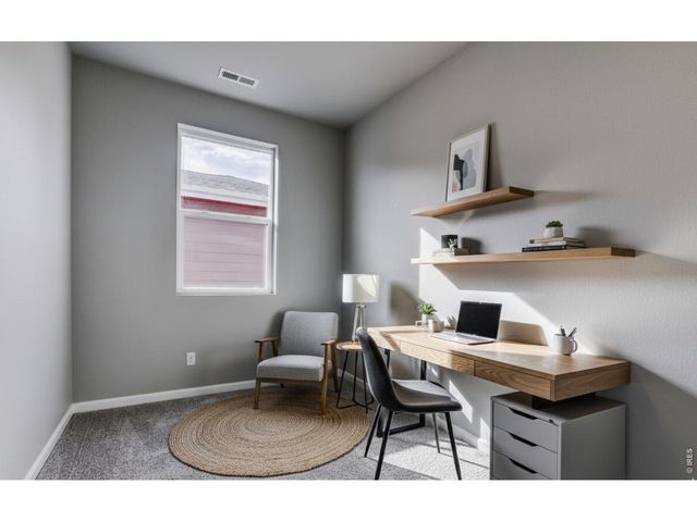 662 Noola St, Windsor, CO 80550