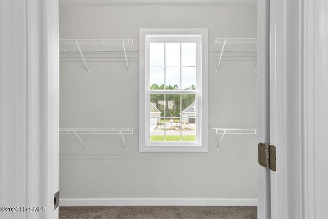 4066 Hunters Trail, Jacksonville, NC 28546