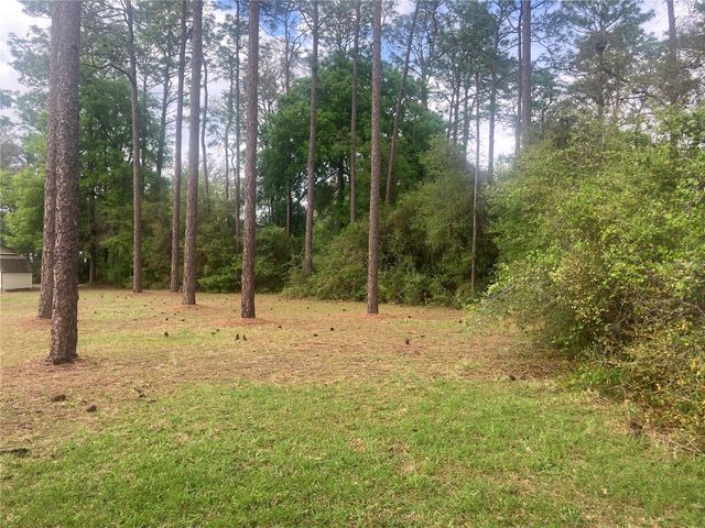 SE 19th Place SE 19TH PLACE, Silver Springs, FL 34488