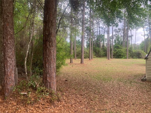 SE 19th Place SE 19TH PLACE, Silver Springs, FL 34488