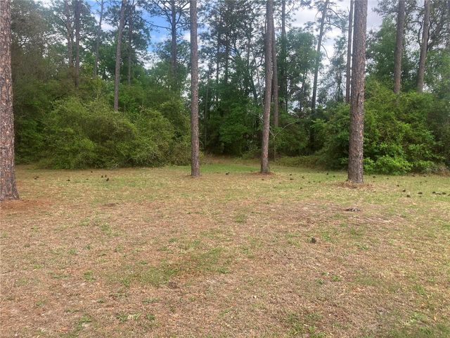 SE 19th Place SE 19TH PLACE, Silver Springs, FL 34488