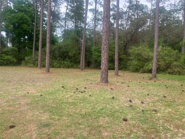 SE 19th Place SE 19TH PLACE, Silver Springs, FL 34488