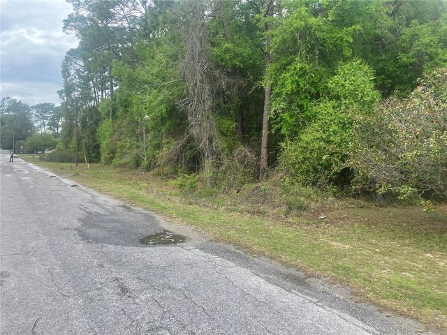 SE 19th Place SE 19TH PLACE, Silver Springs, FL 34488