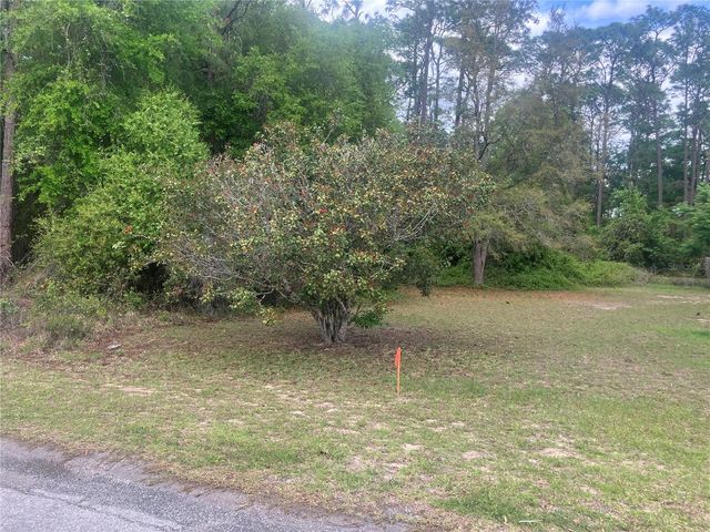 SE 19th Place SE 19TH PLACE, Silver Springs, FL 34488