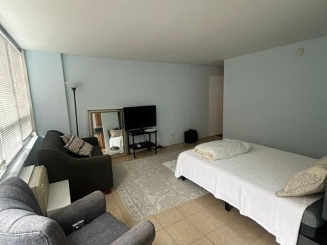 6171 N Sheridan Road 2108, Chicago, IL 60660