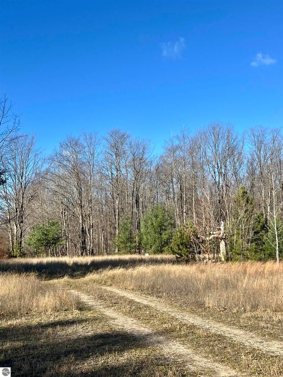 Image 15 of property listing at 8716 Johnson Road, Bellaire, MI 49615