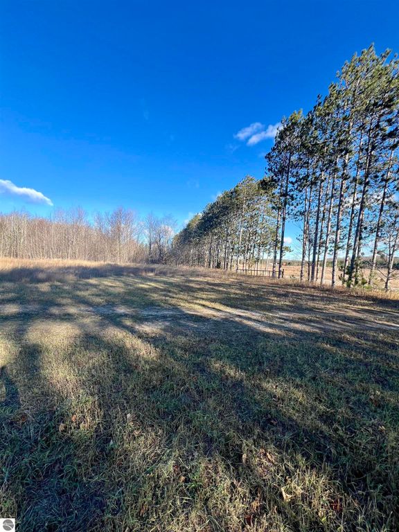 Image 16 of property listing at 8716 Johnson Road, Bellaire, MI 49615