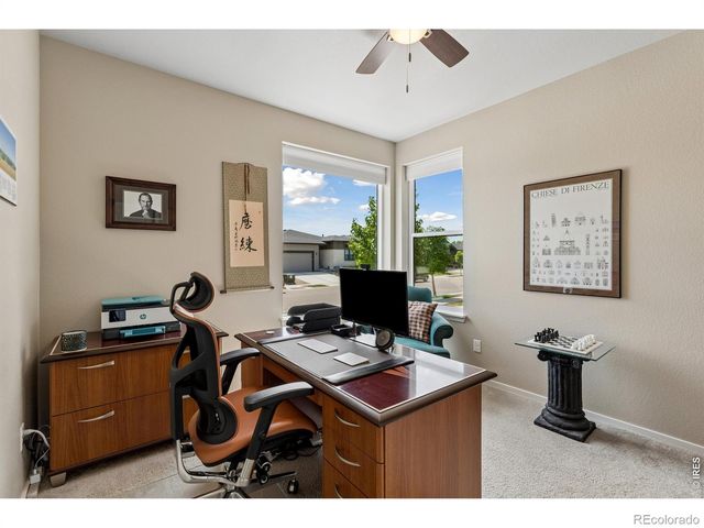 2703 Vallecito Street, Timnath, CO 80547