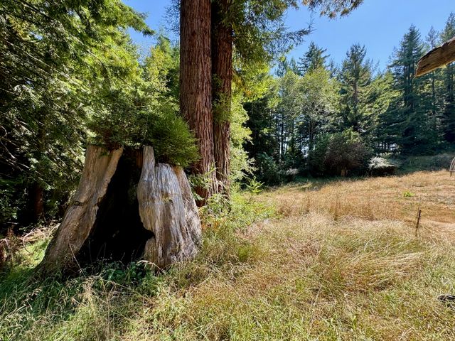 3639 Greenwood Heights Drive, Kneeland, CA 95549