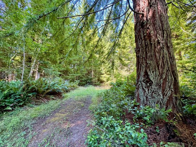 3639 Greenwood Heights Drive, Kneeland, CA 95549