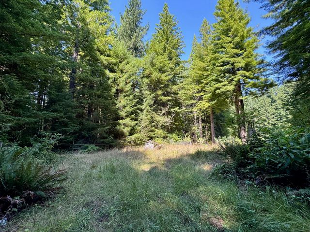 3639 Greenwood Heights Drive, Kneeland, CA 95549