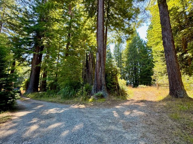 3639 Greenwood Heights Drive, Kneeland, CA 95549