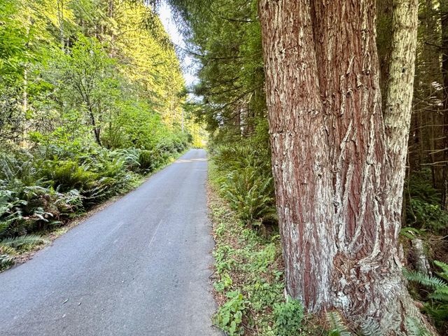 3639 Greenwood Heights Drive, Kneeland, CA 95549