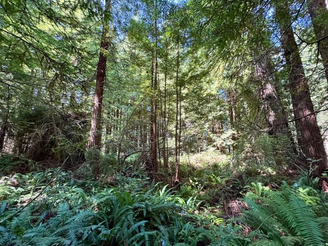 3639 Greenwood Heights Drive, Kneeland, CA 95549