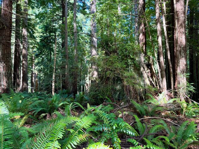 3639 Greenwood Heights Drive, Kneeland, CA 95549