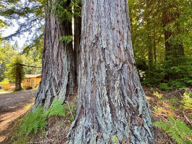 3639 Greenwood Heights Drive, Kneeland, CA 95549