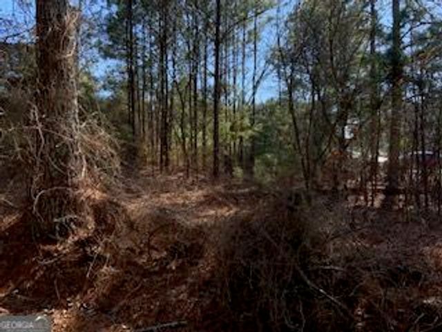 0 Cook Road Southwest, Stockbridge, GA 30281