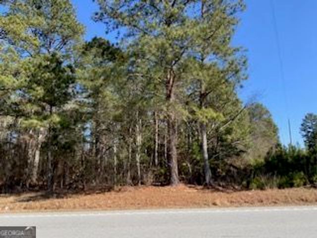 0 Cook Road Southwest, Stockbridge, GA 30281