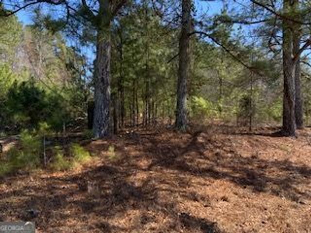 0 Cook Road Southwest, Stockbridge, GA 30281