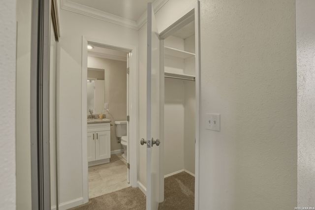 7847 Grass Hollow, Live Oak, TX 78233