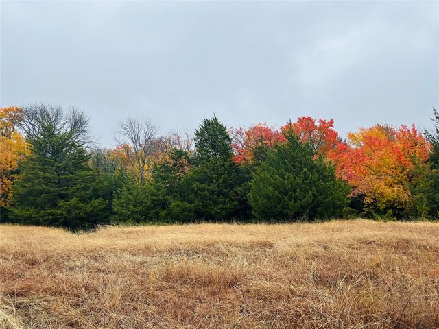 TBD Crews Road, Bells, TX 75414